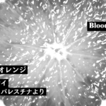 パレスチナ人詩人ヤッファによる詩「ブラッドオレンジ」