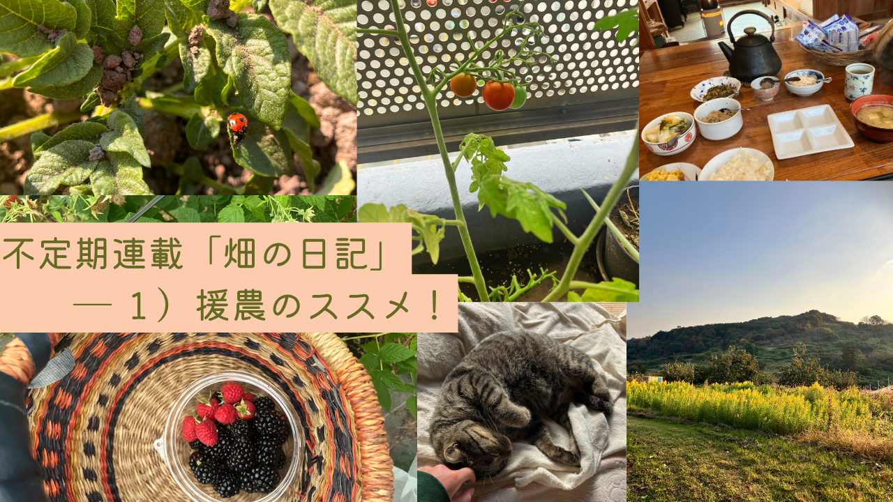 不定期連載「畑の日記」― １）援農のススメ！